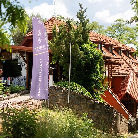 Penzion Nechorka Prušánky Bagian luar foto