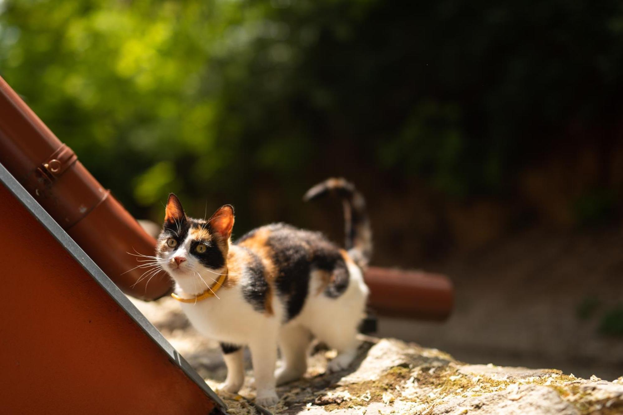 Penzion Nechorka Prušánky Bagian luar foto