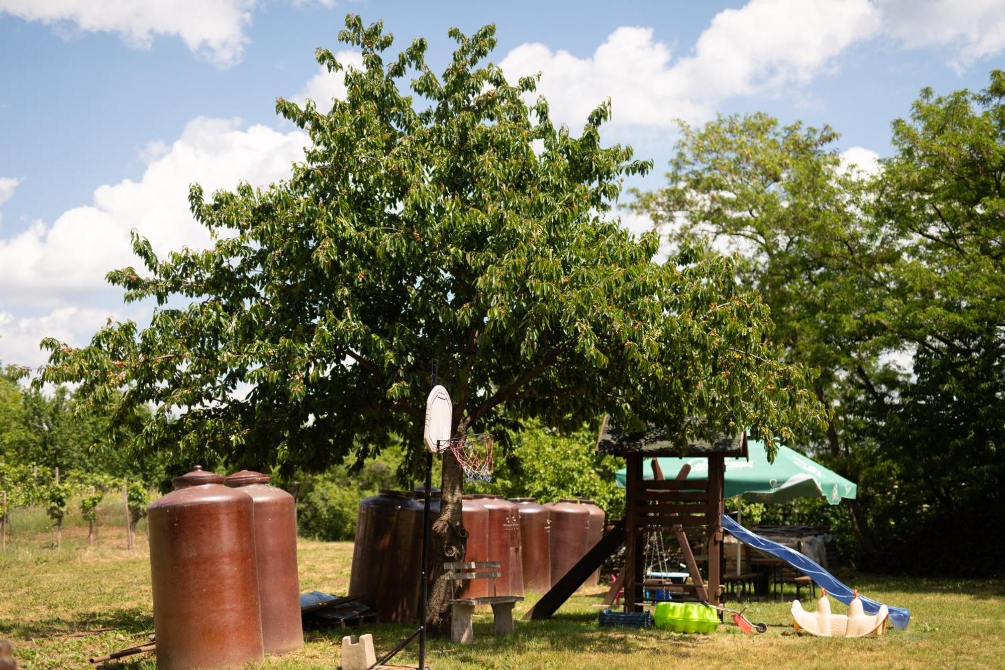 Penzion Nechorka Prušánky Bagian luar foto